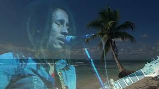 Bob Marley  Turn Your Lights Down Low [upl. by Noiztneb]