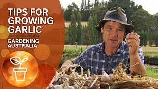 Tips for growing garlic from a guru [upl. by Rambow]