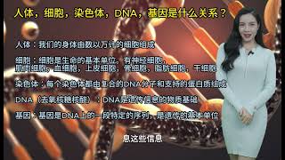 人体，细胞，染色体，DNA，基因是什么关系 [upl. by Nylirrej]