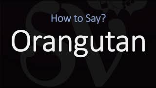 How to Pronounce Orangutan CORRECTLY [upl. by Skerl]