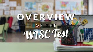 WISC Test Overview  TestingMomcom [upl. by Eniamirt]