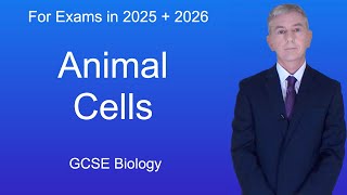 GCSE Biology Revision quotAnimal Cellsquot [upl. by Nuhsal]