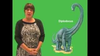 Did Diplodocus really use its tail like a whip for defense [upl. by Bord]