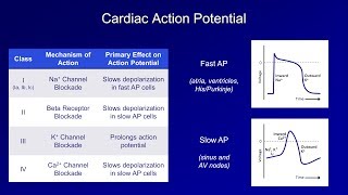 Arrhythmia overview  Types  Diagnosis and treatment [upl. by Mabelle74]