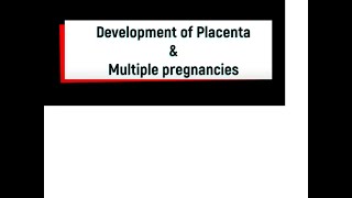 Development of Placenta and Multiple pregnancies [upl. by Perce]