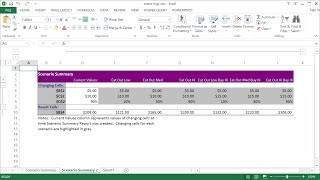 How to Use Excel Scenario Manager [upl. by Luz]