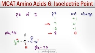 Isoelectric Point of Amino Acids with MCAT Shortcut [upl. by Karil714]