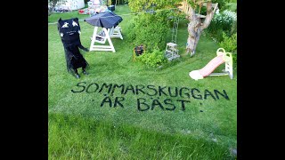 Sommarskuggan busar i trädgården [upl. by Suoicerp]