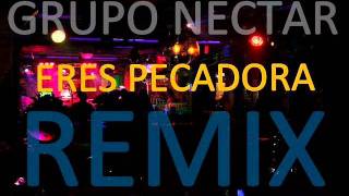 ERES PECADORA REMIX GRUPO NECTAR [upl. by Aimaj]