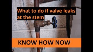 Fix Shut Off Valve Leaking at Stem [upl. by Eseneg369]