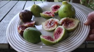 CAKE AUX FIGUES ET AMANDES [upl. by Gothard714]