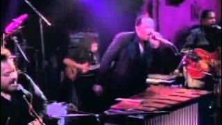 Roy Ayers  Live At Ronnie Scotts 5300flv [upl. by Ecreip]