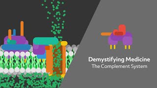 The Complement System [upl. by Mccoy]