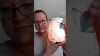 My Scentsy Warmer Collection [upl. by Ynnav]