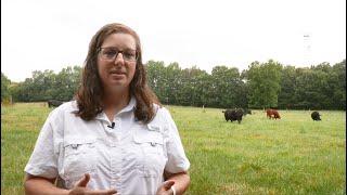 How to Control Pasture Weeds [upl. by Nahij]