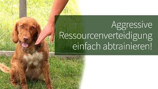 Ressourcenverteidigung Hund ► Aggressive Ressourcenverteidigung einfach abtrainieren [upl. by Jarietta833]