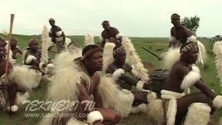 Celebrating Zulu Heritage Through Tribal Dance [upl. by Reade]