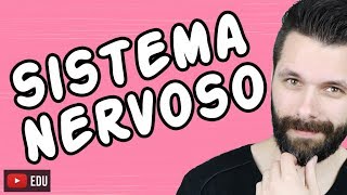 SISTEMA NERVOSO  FISIOLOGIA  Aula  Biologia com Samuel Cunha [upl. by Guimond]