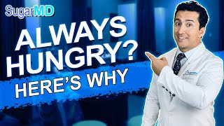 Top 8 Reasons You are Always Hungry amp How to STOP Hunger Sugar MD [upl. by Marb303]