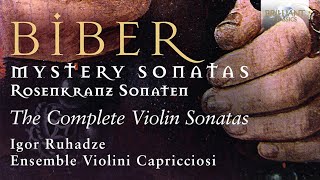 Biber Mystery Sonatas [upl. by Giess]