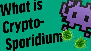 What is Cryptosporidium [upl. by Nordgren]