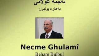 Necme Ghulamî  Behare Bulbul [upl. by Afatsuom634]