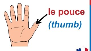 French Lesson 31  BODY VOCABULARY Finger names  Les doigts de la main Dedos de la mano en francés [upl. by Gone]