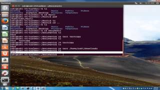 Introduction to Linux and Basic Linux Commands for Beginners [upl. by Reddin624]