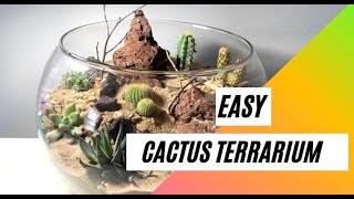 How to make a Cactus Terrarium [upl. by Orlando929]