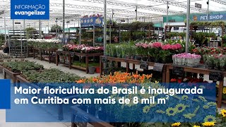 Maior floricultura do Brasil é inaugurada em Curitiba com mais de 8 mil m² [upl. by Beniamino]