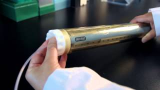 Attaching a DynaLoop™ Sample Loop to the NGC™ Chromatography System [upl. by Brandt70]