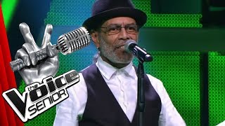 Sting  Fragile Eduardo Villegas  The Voice Senior  Audition  SAT1 TV [upl. by Dwan906]