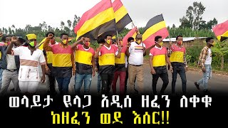 Wolayta New Music  ወላይታ ዪላጋ ለእስር የተዳረጉበት አዲሰ ዘፈን Buze BucheWolaita Yelaga [upl. by Erhart32]