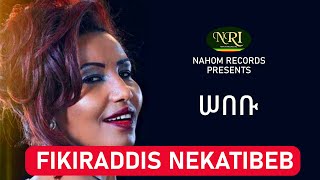 Fikiraddis Nekatibeb – Sebebu  ሠበቡ  Ethiopian Music [upl. by Nallid]