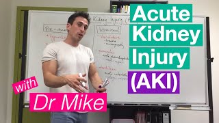 Acute Kidney Injury AKI [upl. by Ysor]