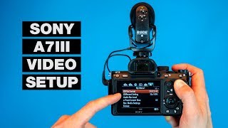 How to Setup Your Camera for Video — Sony A7III Tutorial [upl. by Attenal]