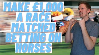 Matched Betting on Horses for Beginners guide amp tutorial using OddsMonkey or Profit accumulator [upl. by Origra]