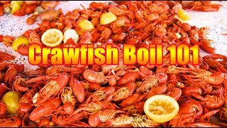 ANNUAL 2019 CRAWFISH BOIL  Basic Crawfish Boil 101 [upl. by Annenn488]