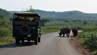 Exploring Africas Oldest Game Reserve Hluhluwe Imfolozi [upl. by Aimahs]