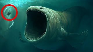 10 BIGGEST Underwater Creatures In The world [upl. by Haimarej282]