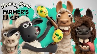 Shaun the Sheep Meet the Llamas [upl. by Gnuhp]