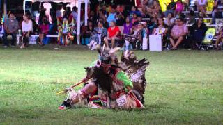 Oklahoma Indian Nations Powwow 2014 [upl. by Adhamh]