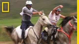 Grueling 80Mile Horse Race Demands More Than Speed  National Geographic [upl. by Retsim]