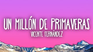 Vicente Fernández  Un Millón de Primaveras [upl. by Atul]