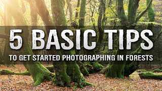 5 TIPS for FOREST photography [upl. by Oijimer]