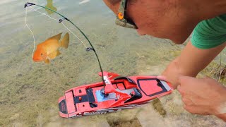 TOY Boat Catches Colorful FISH For Baby Jaws [upl. by Egres]