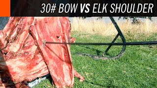 30 Pound Bow vs Elk Shoulder Test [upl. by Vaclav650]