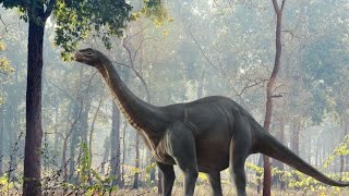 DINOSAURS  BRONTOSAURUS  General Characteristics  Information [upl. by Aryek]