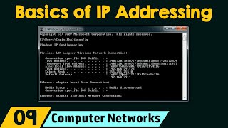 Basics of IP Addressing [upl. by Dominus]