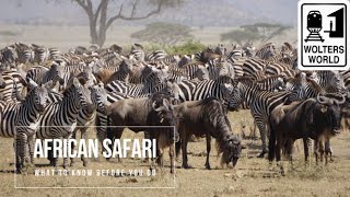 Safari Travel What to Know Before You Go on an African Safari [upl. by Yojenitsirk]